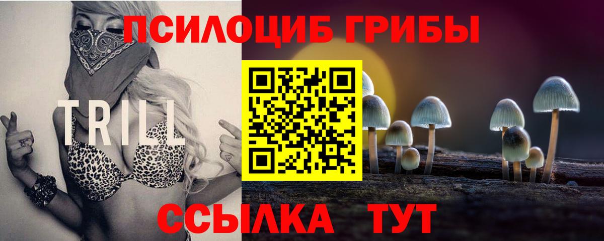 Галлюциногенные грибы ЛСД  закладка  Отрадное  Галлюциногенные грибы Psilocybe  Вход с VPN 